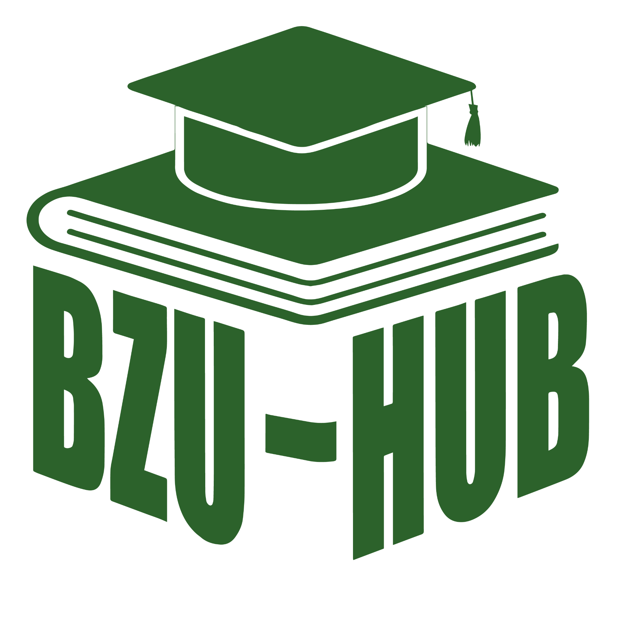 BZU-HUB logo